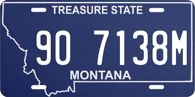 MT license plate 907138M