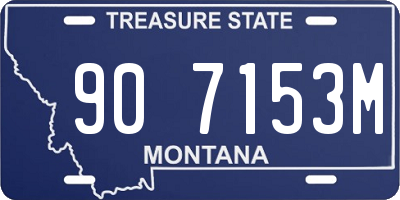 MT license plate 907153M