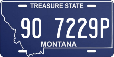 MT license plate 907229P