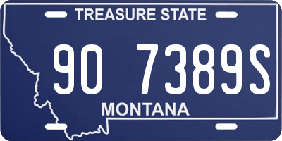 MT license plate 907389S