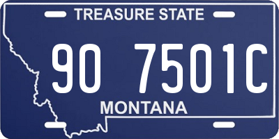 MT license plate 907501C
