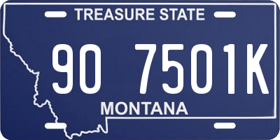 MT license plate 907501K