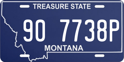 MT license plate 907738P