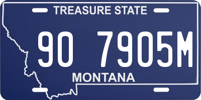 MT license plate 907905M