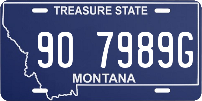 MT license plate 907989G