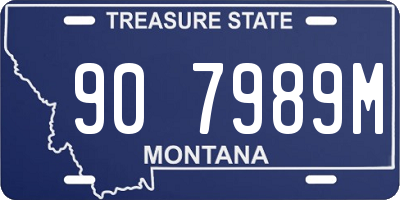 MT license plate 907989M