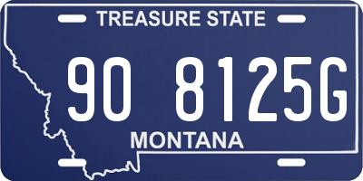 MT license plate 908125G