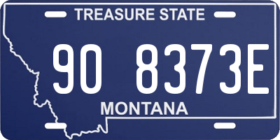MT license plate 908373E