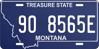 MT license plate 908565E
