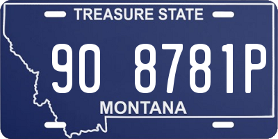 MT license plate 908781P