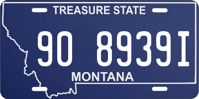 MT license plate 908939I