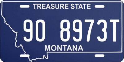 MT license plate 908973T