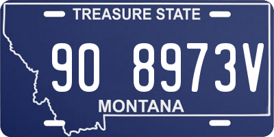 MT license plate 908973V