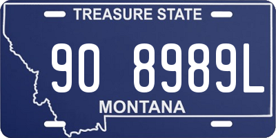 MT license plate 908989L