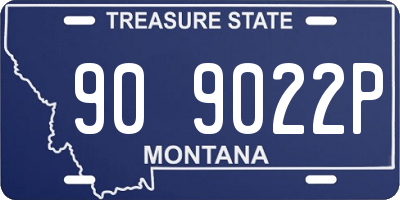 MT license plate 909022P