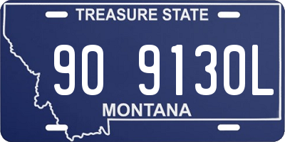 MT license plate 909130L