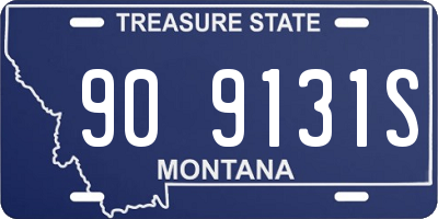 MT license plate 909131S