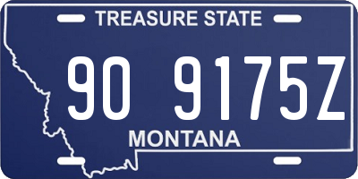 MT license plate 909175Z