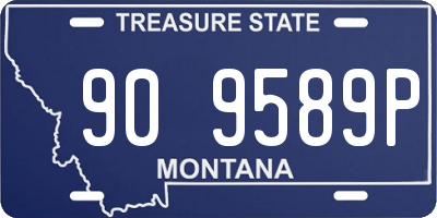 MT license plate 909589P