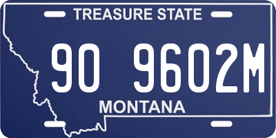 MT license plate 909602M