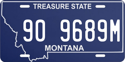 MT license plate 909689M