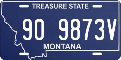 MT license plate 909873V
