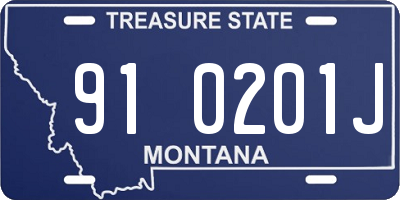 MT license plate 910201J