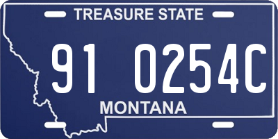 MT license plate 910254C