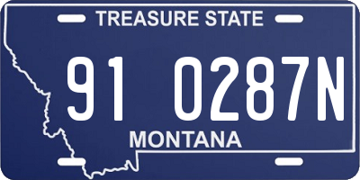 MT license plate 910287N