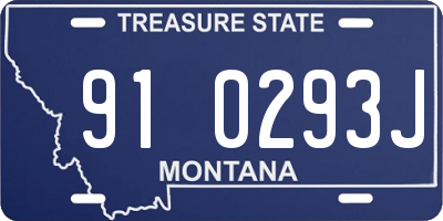 MT license plate 910293J