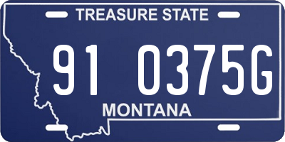 MT license plate 910375G