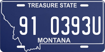 MT license plate 910393U