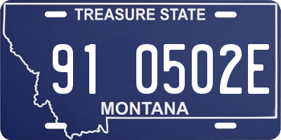 MT license plate 910502E
