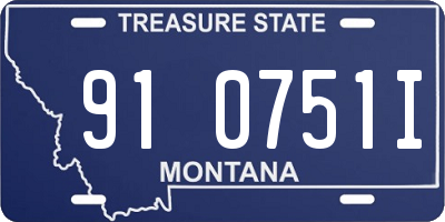 MT license plate 910751I