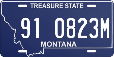 MT license plate 910823M