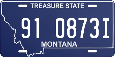 MT license plate 910873I
