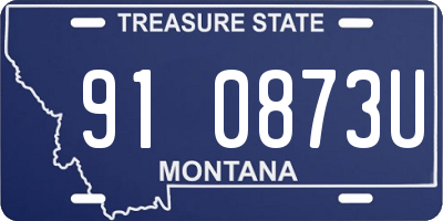 MT license plate 910873U