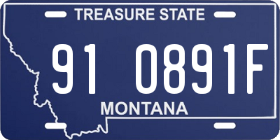 MT license plate 910891F