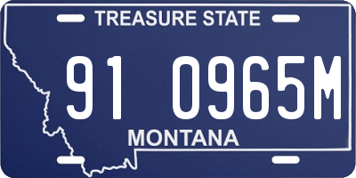 MT license plate 910965M