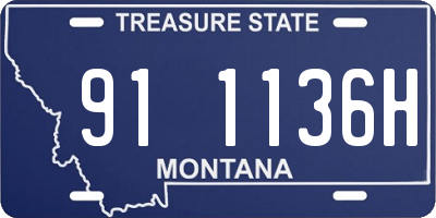 MT license plate 911136H