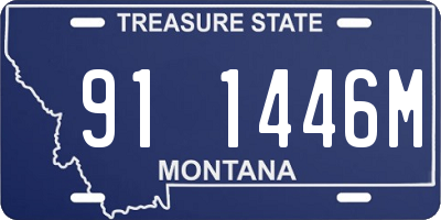 MT license plate 911446M