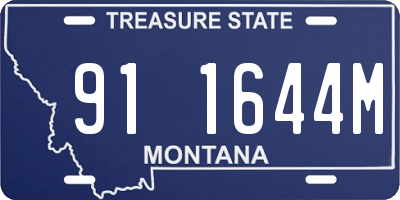 MT license plate 911644M