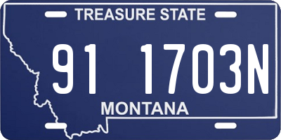 MT license plate 911703N