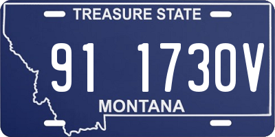 MT license plate 911730V