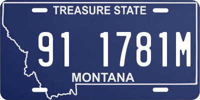 MT license plate 911781M