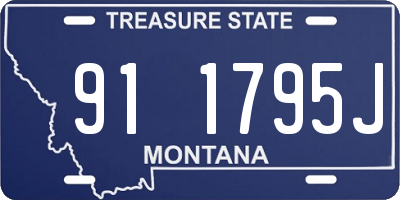 MT license plate 911795J