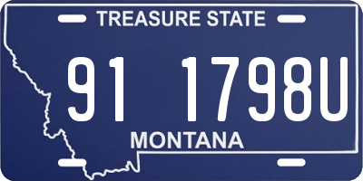 MT license plate 911798U