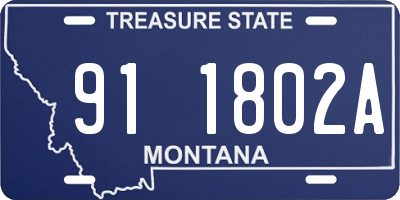 MT license plate 911802A