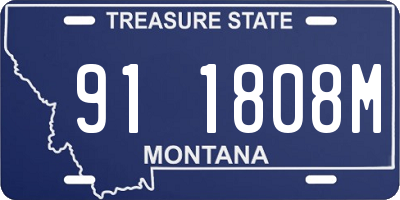 MT license plate 911808M