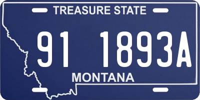 MT license plate 911893A